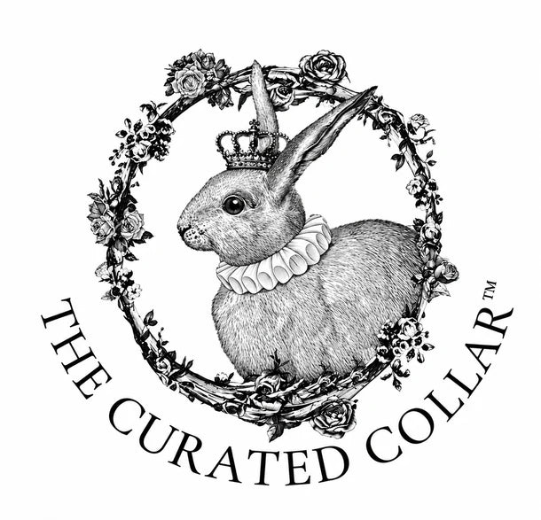The Curated Collar | Dolly Ivory Pearl-Embellished Detachable Collar Regular price