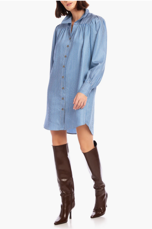 BENMEDSPA | Fifteen Twenty | Natalia Shirt Dress